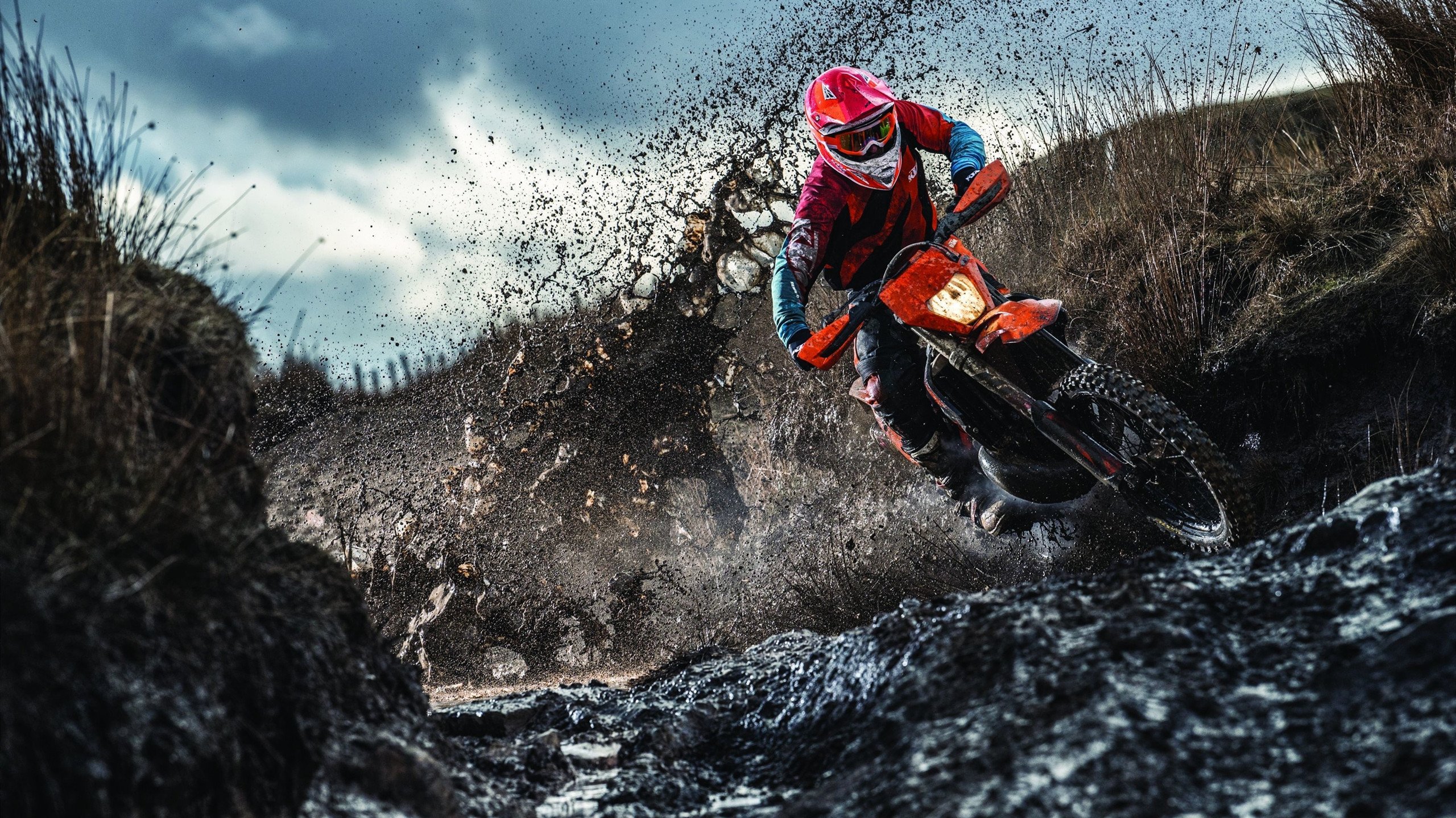 英超冠军争夺:悬念重重,精彩不断!,英超 联赛冠军